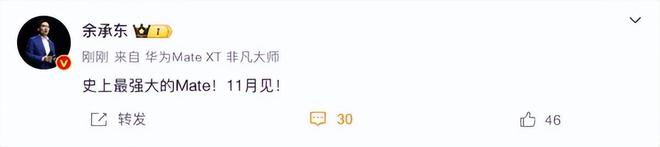 华为Mate 70系列11月发布：史上最强大的Mate，新麒麟处理器引领科技潮流