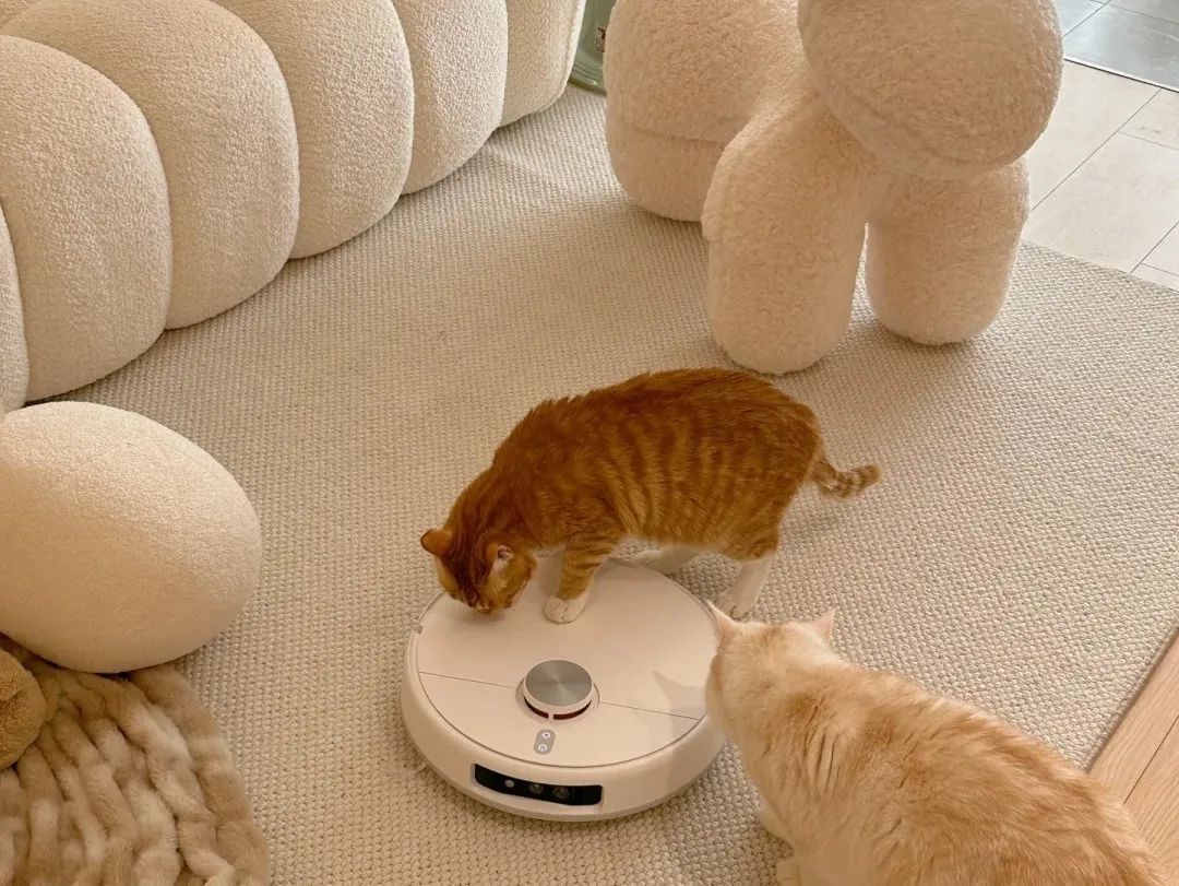 小米全屋智能：为生活提供全面科技支持_小米智能科技家居_小米科技