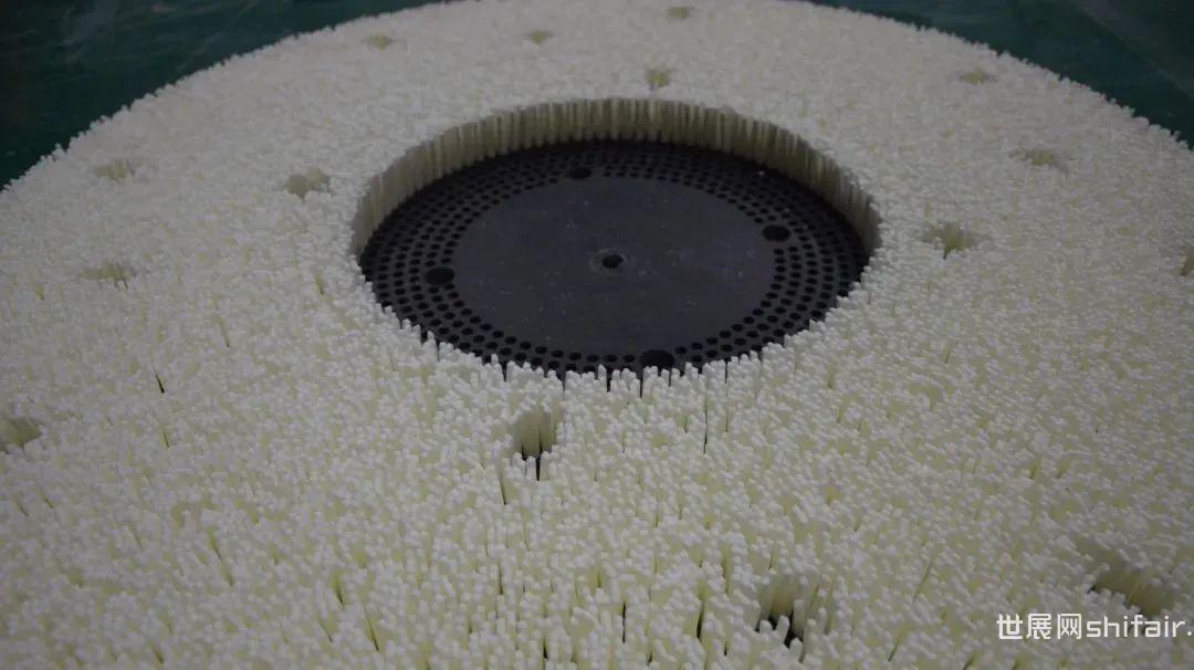 小米14屏幕盖板的耐用性与显示效果_小米屏显开关说明书_小米屏显开关什么时候上市