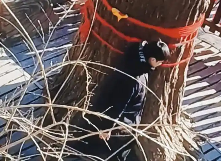 李易峰的个人生活曝光，真实一面令人心动_李易峰真人长什么样_李易峰真人有多帅