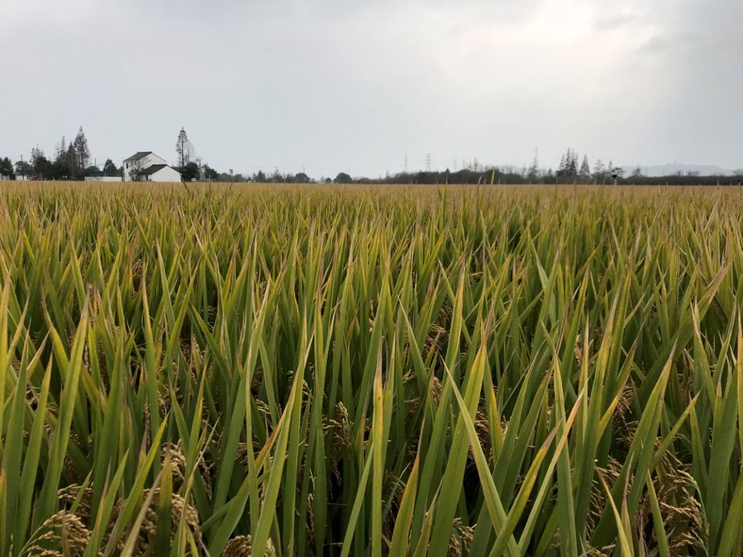 马化腾与新兴科技的结合_马化腾创新的方法_马化腾创新的例子