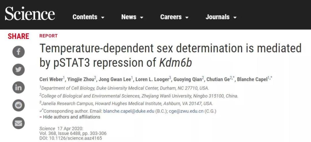 马化腾创新的例子_马化腾与新兴科技的结合_马化腾创新的方法