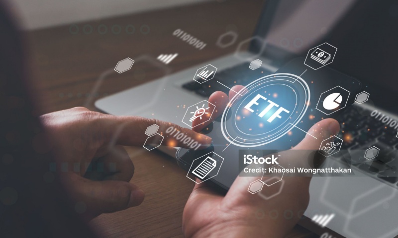 DOGZ（太空狗币）发行价分析及其市场趋势与投资前景探讨