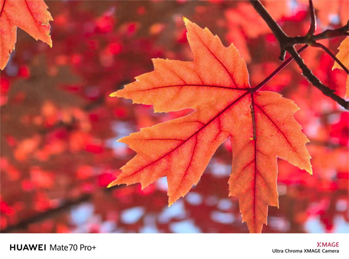 华为手机影像技术发展历程：从徕卡合作到AI摄影与超感光摄像头的突破