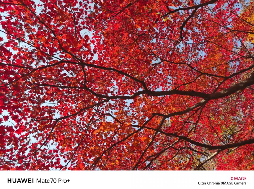 华为改变了什么_华为的改革创新_用科技改变生活：华为手机的技术革新