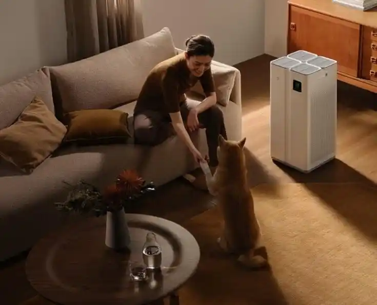 如何选择空气净化器：CADR值、噪音水平与智能功能全解析