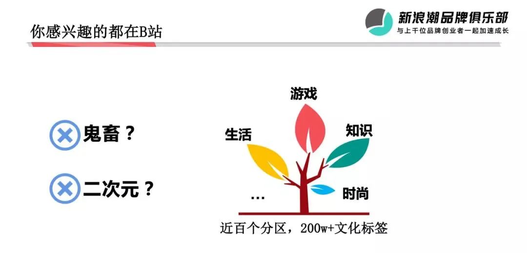 如何为你的中兴手机选择合适的配件？_中兴高配手机_中兴手机配置