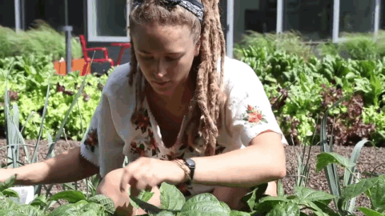 灵动空间指什么意思_选择智能产品，让空间更有灵动性_灵动空间装饰