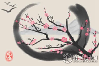 揭秘百家姓贾姓名人贾玲：个人资料与姜昆私生女传闻真相