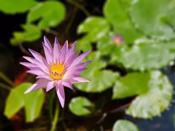 防水级别ip什么意思_IP68级防水设计的实用性与优势_防水性能ip