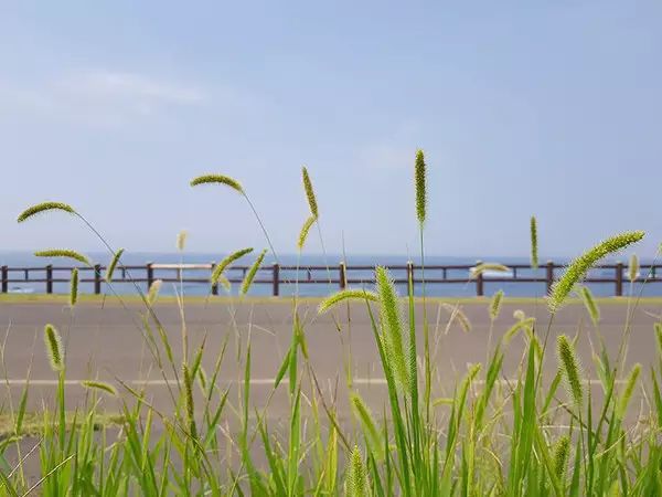 IP68级防水设计的实用性与优势_防水性能ip_防水级别ip什么意思