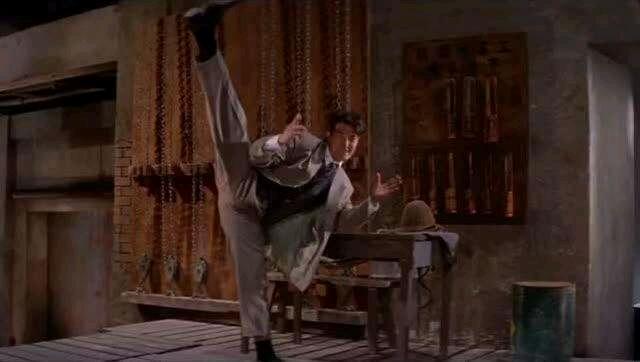 甄子丹的武打电影有哪些_甄子丹的经典武打片_甄子丹的经典武打角色分析