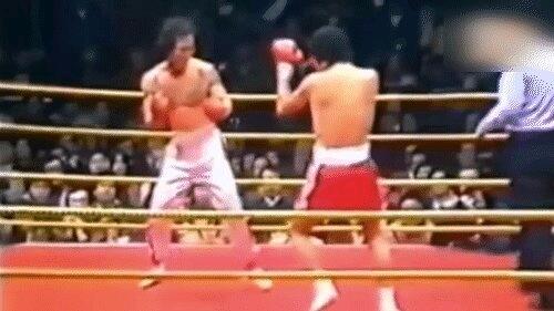 甄子丹的经典武打角色分析_甄子丹的经典武打片_甄子丹的武打电影有哪些