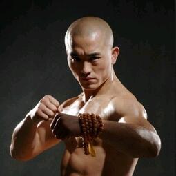 甄子丹的经典武打片_甄子丹的经典武打角色分析_甄子丹的武打电影有哪些