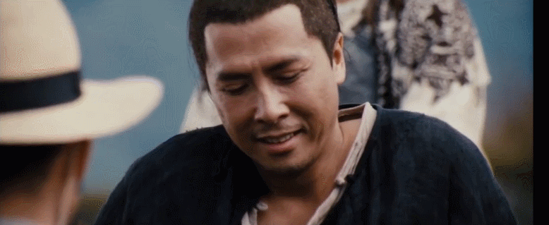 甄子丹最精彩武打视频_甄子丹的经典武打角色分析_甄子丹的武打风格