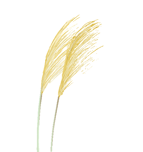 严谨态度：小米汽车的质量保障措施_小米进军汽车行业案例分析_如何看待小米进军汽车行业