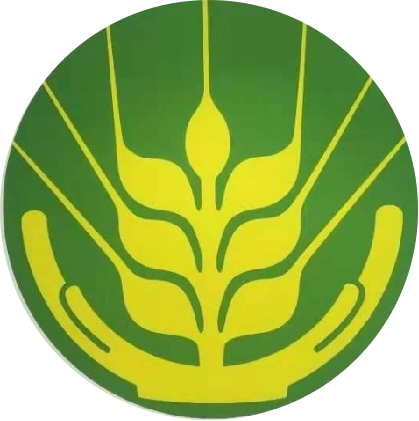 如何看待小米进军汽车行业_严谨态度：小米汽车的质量保障措施_小米进军汽车行业案例分析