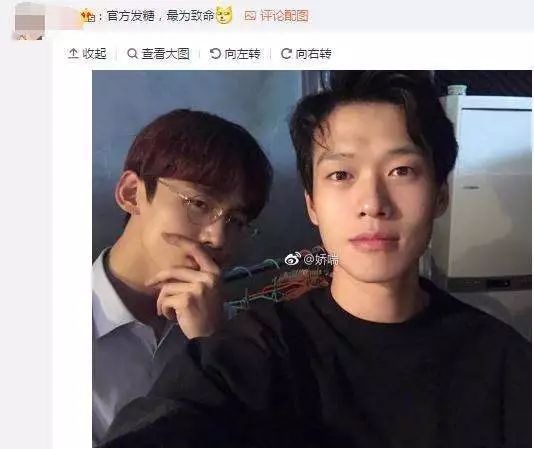 张雨绮的风格_张雨绮气质_张雨绮的多才多艺与表现风格