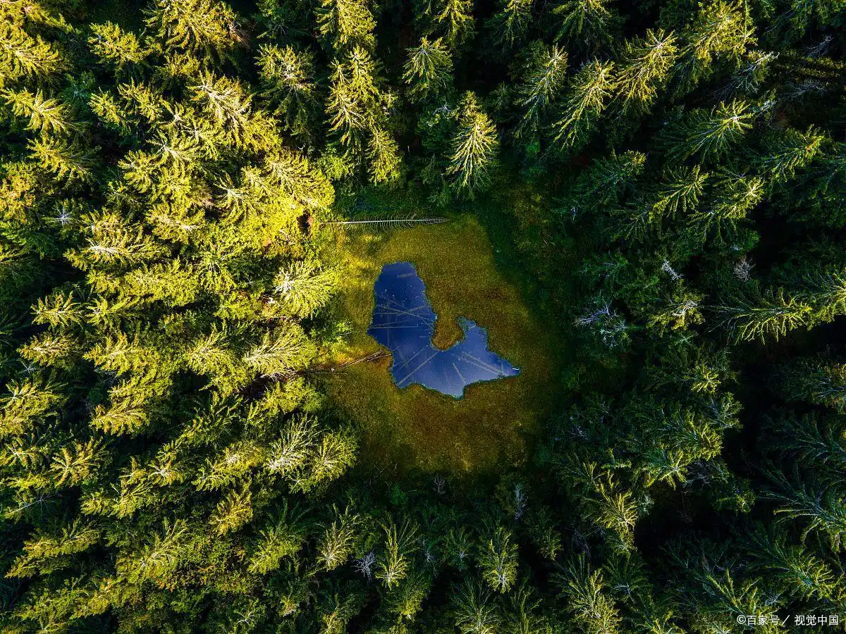 深入剖析以太坊：定义、原理、特点及对区块链的影响