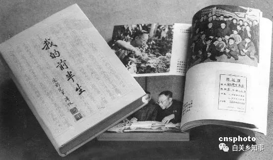 关之琳高尔夫球事件家庭_关之琳的家庭生活与亲情故事_关之琳家庭