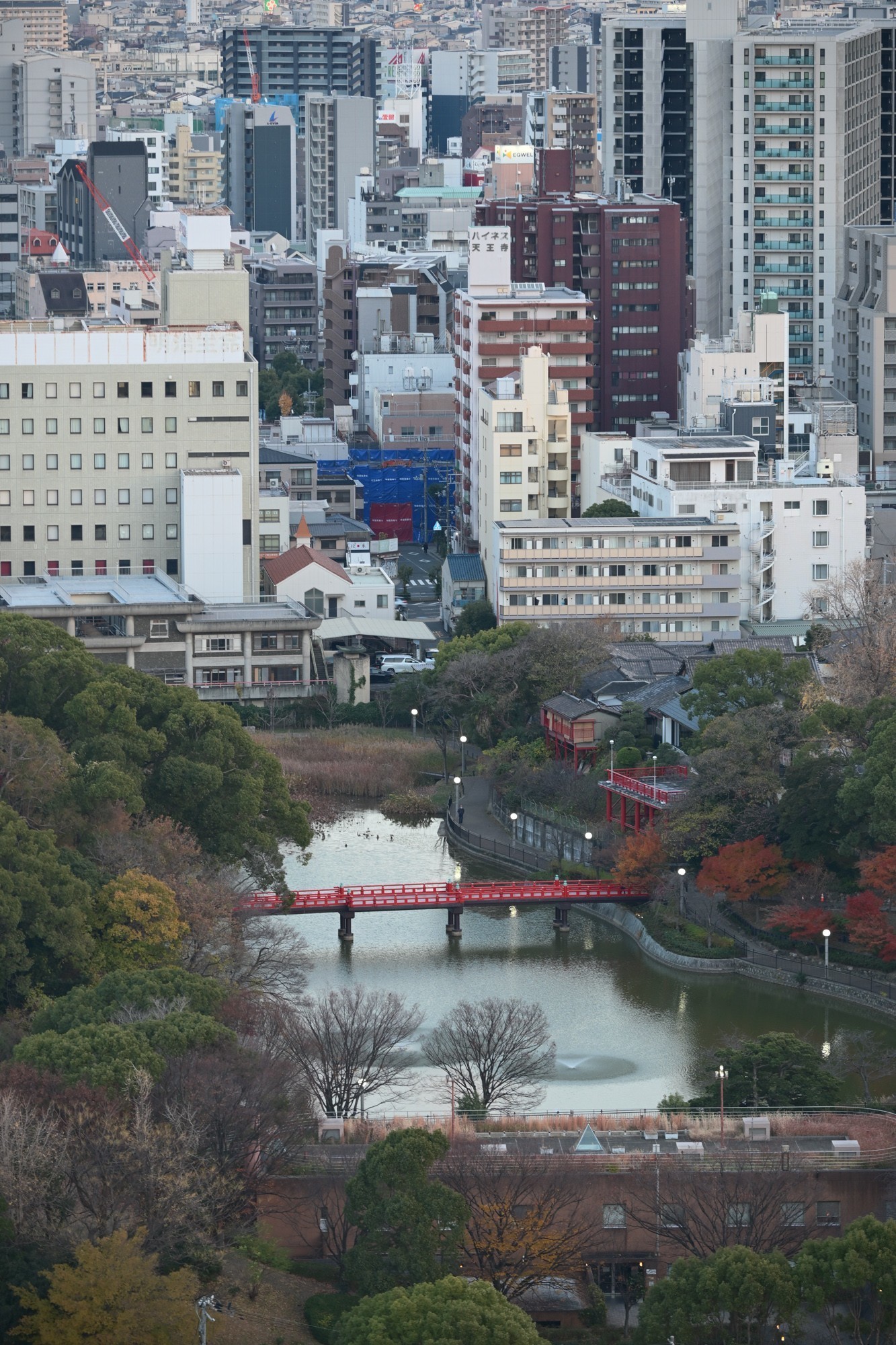 尼康Z50II：硬件升级且功能性能出色的创意摄影佳选