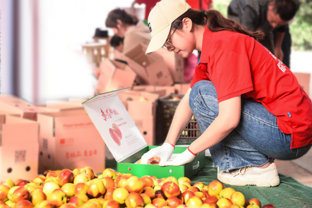 秦英林的投资理念与市场选择_投资者树立理性投资理念_投资理念的重要性