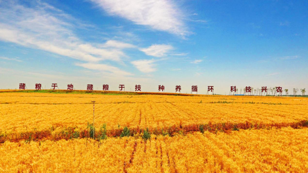 秦英林的投资理念与市场选择_投资者树立理性投资理念_投资理念的重要性