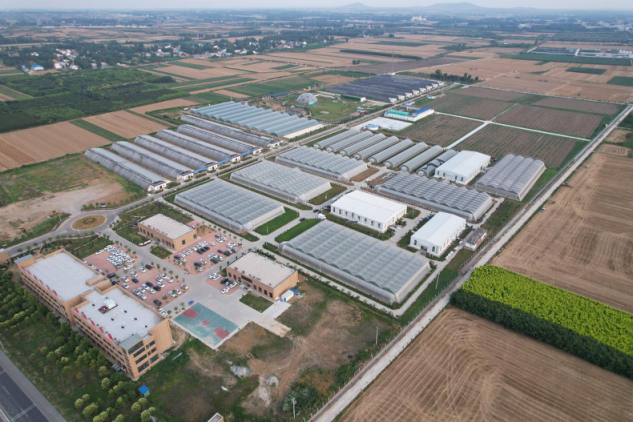 投资者树立理性投资理念_秦英林的投资理念与市场选择_投资理念的重要性