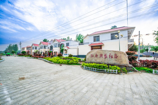 投资者树立理性投资理念_投资理念的重要性_秦英林的投资理念与市场选择